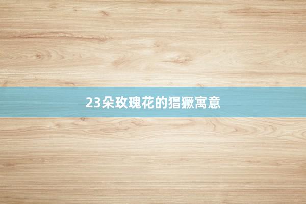 23朵玫瑰花的猖獗寓意