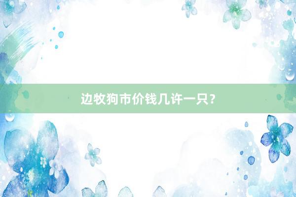 边牧狗市价钱几许一只？